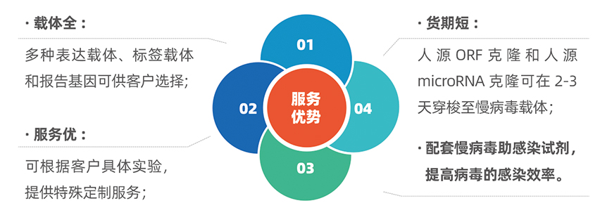 维真生物慢病毒优势